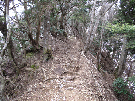 20170113hike (169)